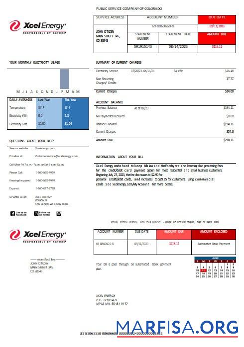 Blank USA XcelEnergy electric utility bill Word and PDF formats template